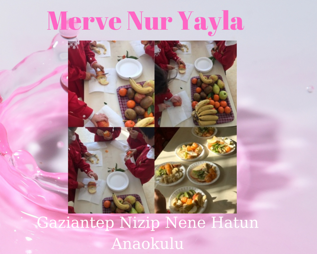 Waldorf ile doğaya dönüş projesi meyve salatası çalışması e book by sait aslan - Ourboox.com