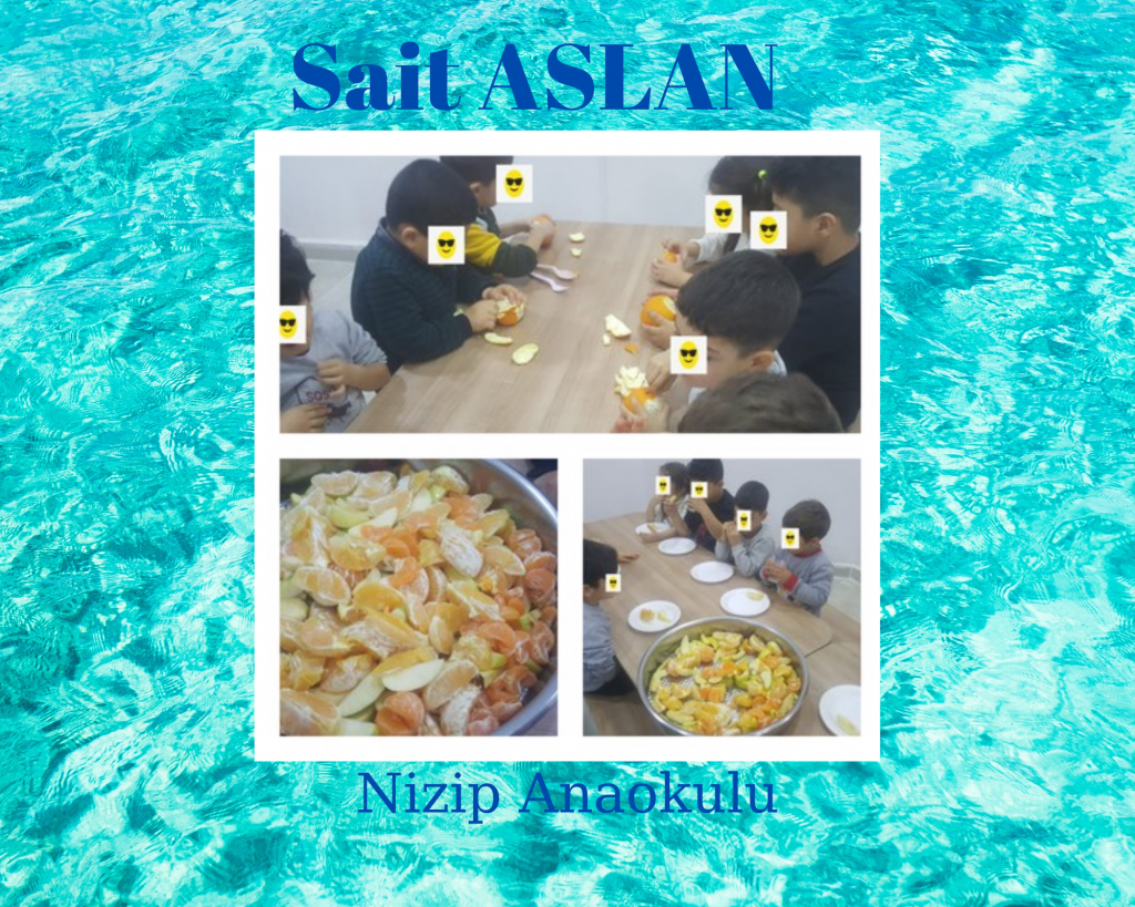 Waldorf ile doğaya dönüş projesi meyve salatası çalışması e book by sait aslan - Ourboox.com