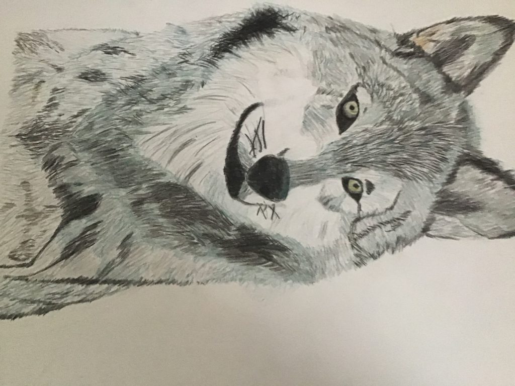 il titolo della mia vita by Sofia - Ourboox.com