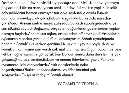 Minik Yazarlardan Hikayeler by Adem KÜSİN - Ourboox.com