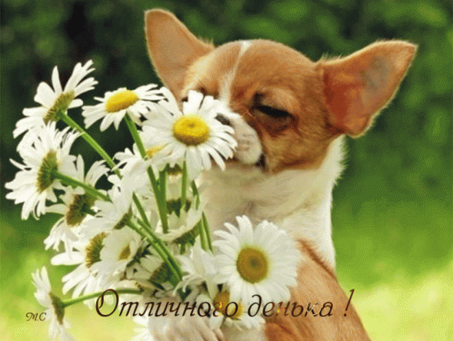 Вот и лето пришло……. by Snezka - Ourboox.com