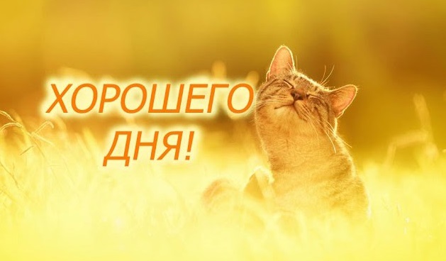 Вот и лето пришло……. by Snezka - Ourboox.com