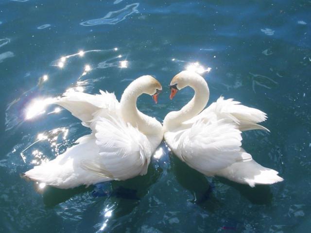 Вот и лето пришло……. by Snezka - Ourboox.com