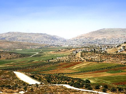 poetry stage of my soul 2020 by ‪Yaron Yemini‬‏ - Ourboox.com