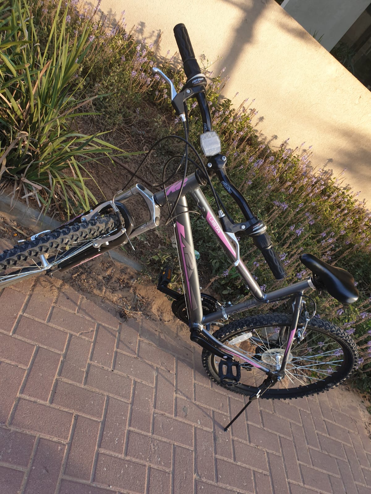 My time in quarantine by Maor koren - Ourboox.com