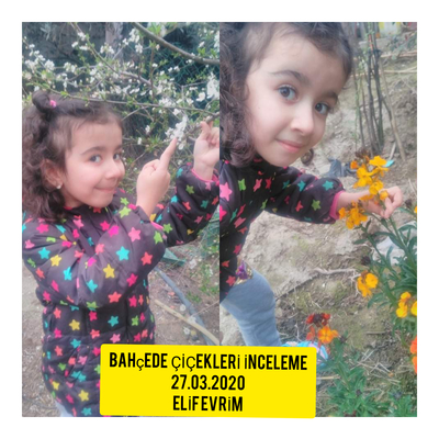 İNSANCA PEK İNSANCA by cemile muslu - Ourboox.com