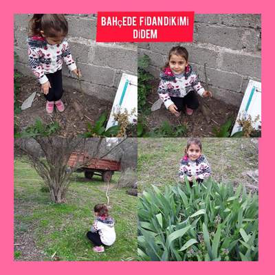 İNSANCA PEK İNSANCA by cemile muslu - Ourboox.com