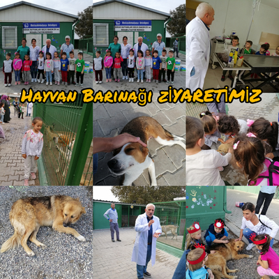 İNSANCA PEK İNSANCA by cemile muslu - Ourboox.com