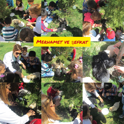 İNSANCA PEK İNSANCA by cemile muslu - Ourboox.com