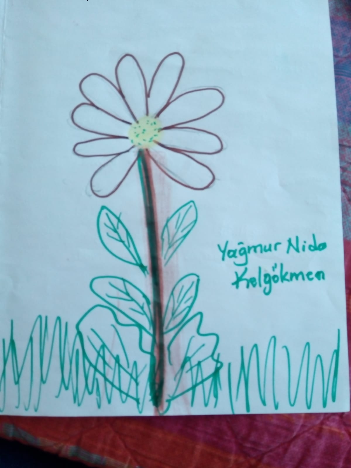 GÖKKUŞAĞI GÜNLERİNİ HAYAL EDİYORUM by Fatma Tandoğan Şahin - Ourboox.com