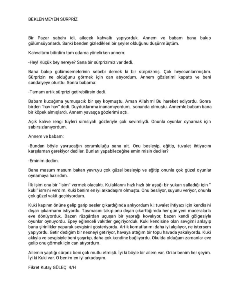 GÖKKUŞAĞI GÜNLERİNİ HAYAL EDİYORUM by Fatma Tandoğan Şahin - Ourboox.com