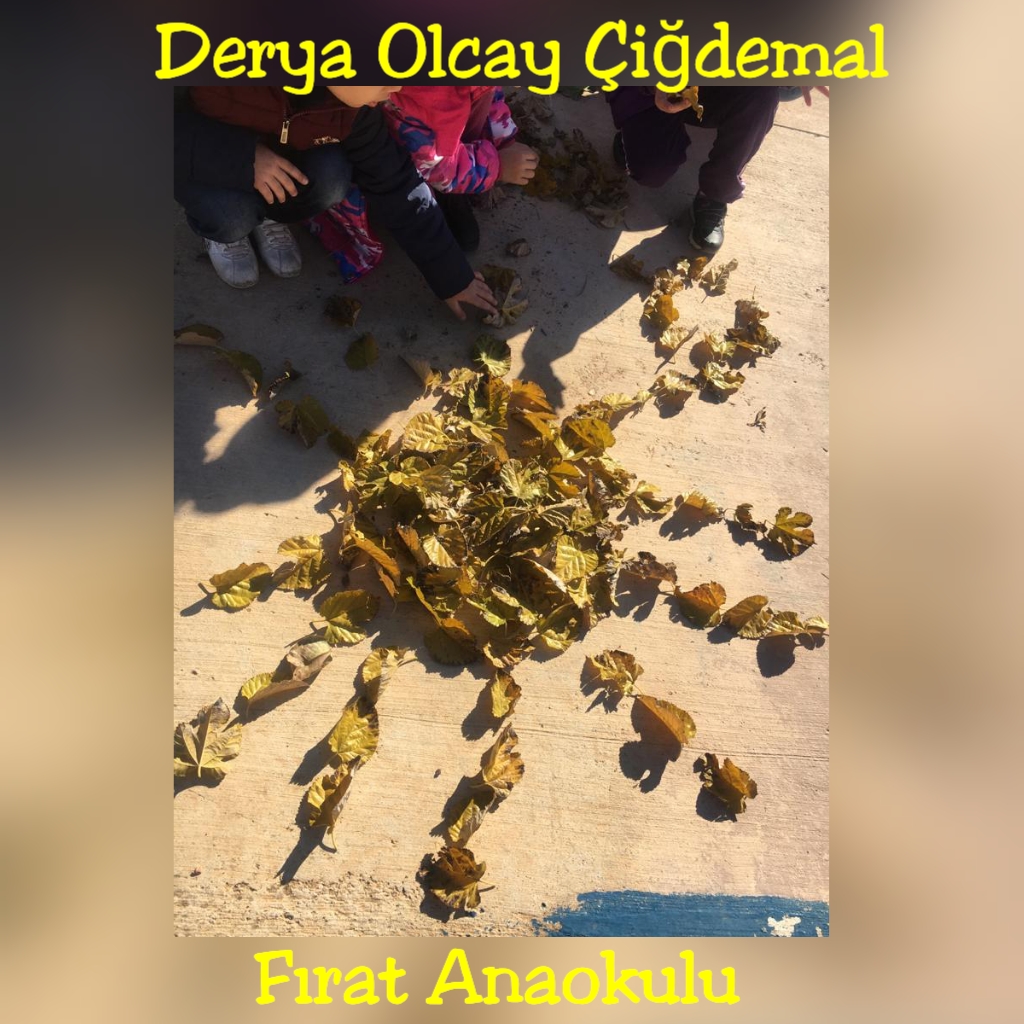 WALDORF İLE DOĞAYA DÖNÜŞ by Derya Olcay ÇİĞDEMAL - Ourboox.com