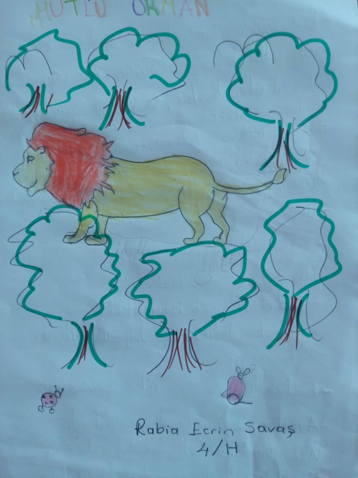 GÖKKUŞAĞI GÜNLERİNİ HAYAL EDİYORUM by Fatma Tandoğan Şahin - Ourboox.com