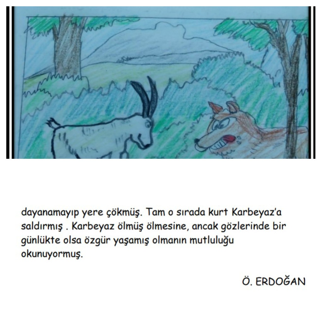 GÖKKUŞAĞI GÜNLERİNİ HAYAL EDİYORUM by Fatma Tandoğan Şahin - Ourboox.com