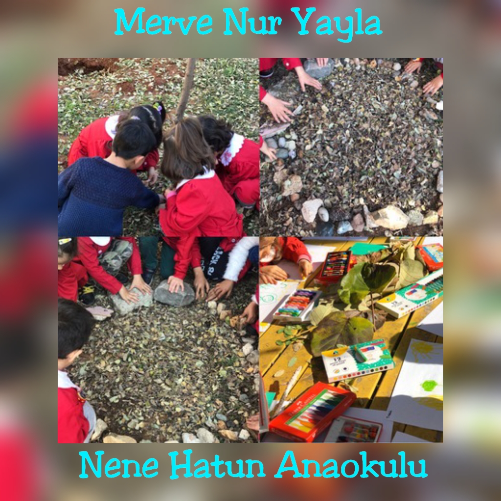 WALDORF İLE DOĞAYA DÖNÜŞ by Derya Olcay ÇİĞDEMAL - Ourboox.com