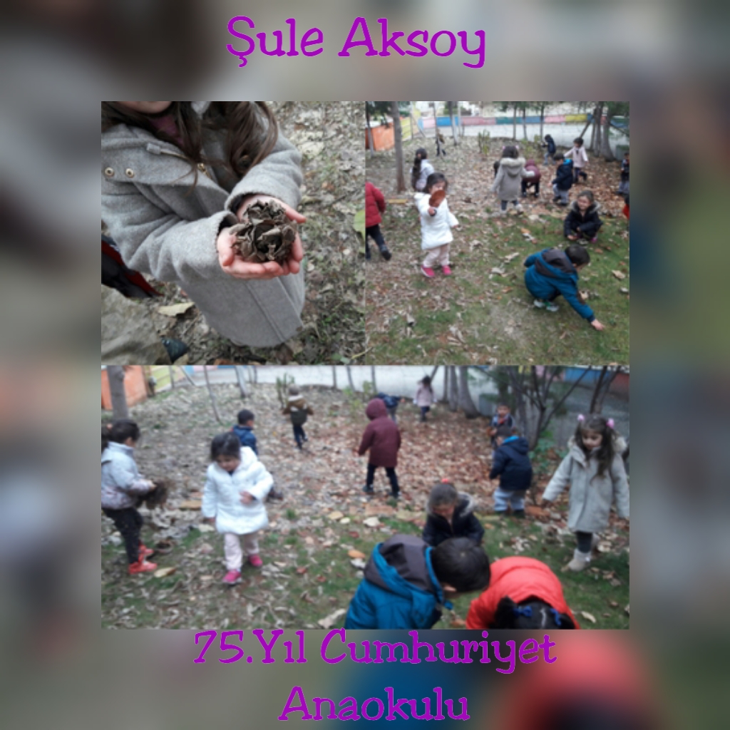 WALDORF İLE DOĞAYA DÖNÜŞ by Derya Olcay ÇİĞDEMAL - Ourboox.com