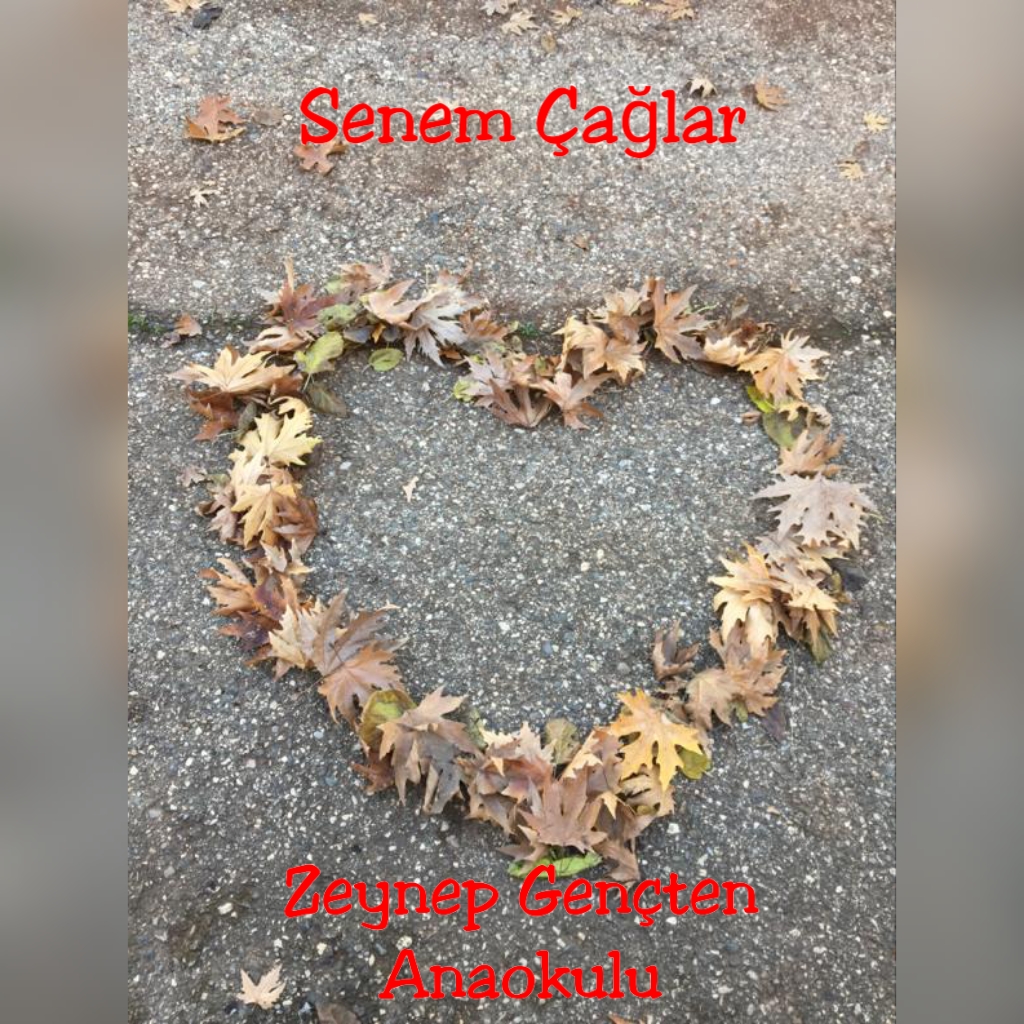 WALDORF İLE DOĞAYA DÖNÜŞ by Derya Olcay ÇİĞDEMAL - Ourboox.com