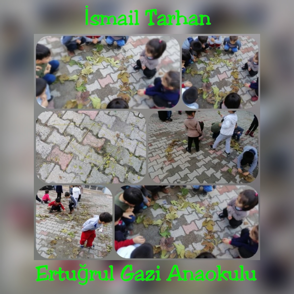 WALDORF İLE DOĞAYA DÖNÜŞ by Derya Olcay ÇİĞDEMAL - Ourboox.com