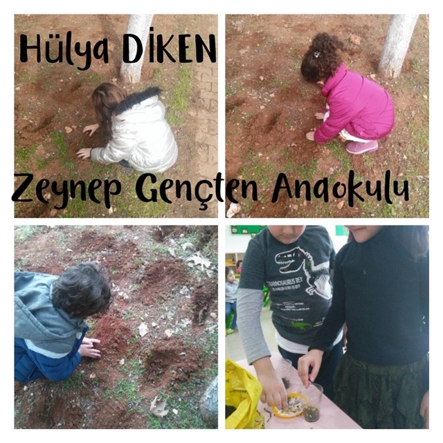 WALDORF İLE DOĞAYA DÖNÜŞ by Tuğba Kaplan - Ourboox.com