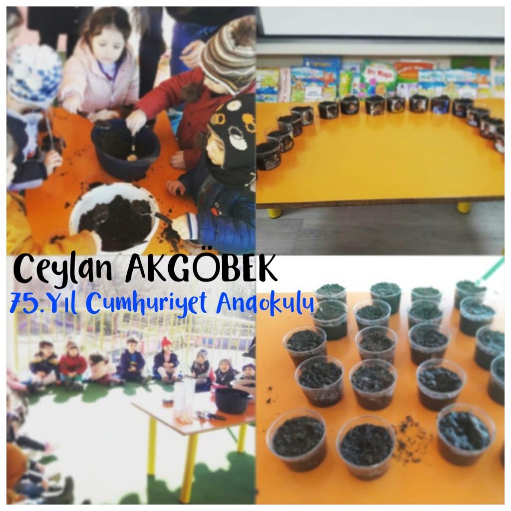 WALDORF İLE DOĞAYA DÖNÜŞ by Tuğba Kaplan - Ourboox.com