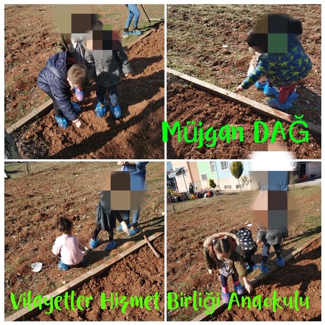 WALDORF İLE DOĞAYA DÖNÜŞ by Tuğba Kaplan - Ourboox.com