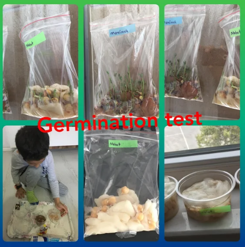 NOWEMBER ACTIVITY EBOOK by selma - Ourboox.com