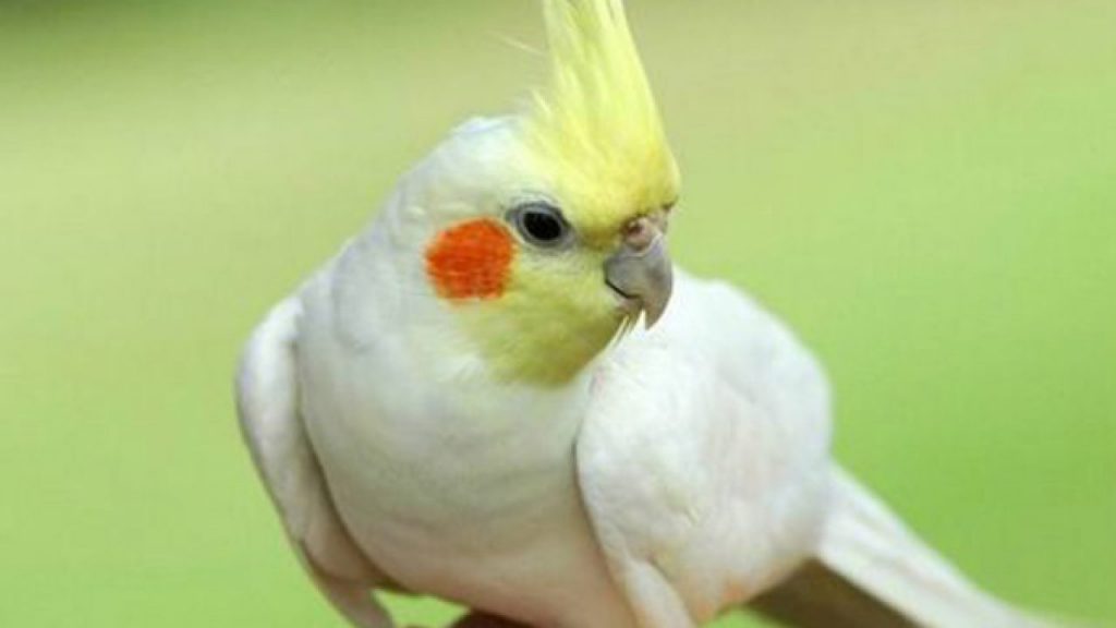 Група ,,Жул Верн” by Ahmed Bakiev - Ourboox.com