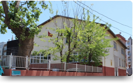 Fantastic Scholl (Primary)-Nimet AYPER by nimetayper - Illustrated by Fantastic Scholl (Primary) - Ourboox.com