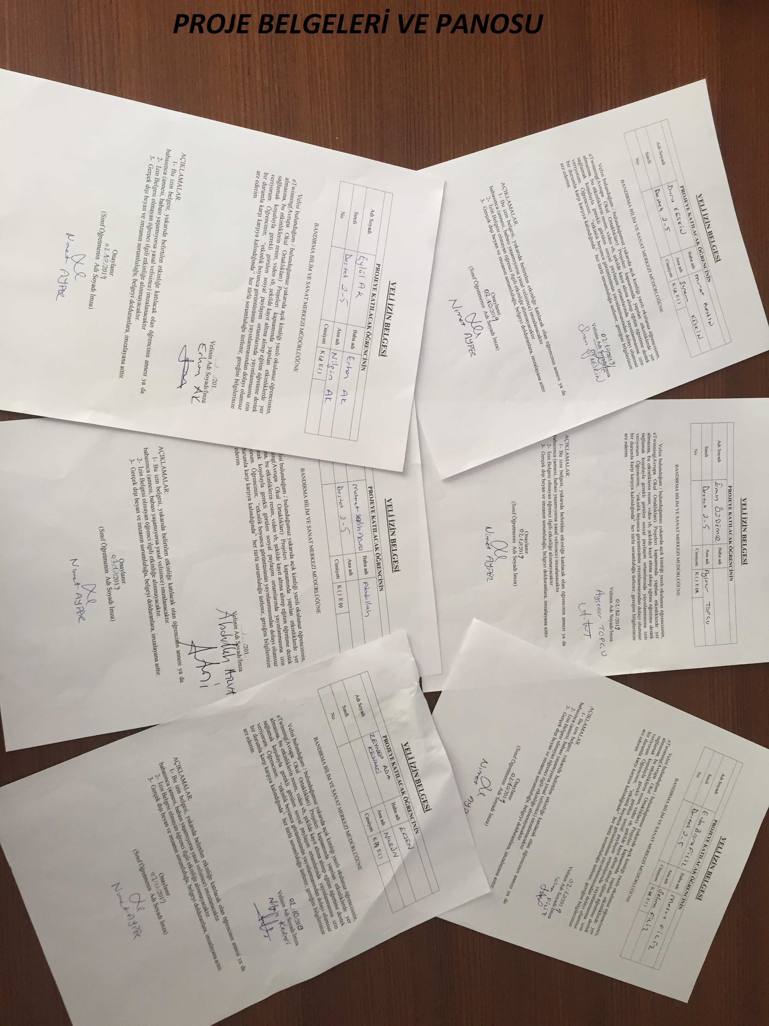 Fantastic Scholl (Primary)-Nimet AYPER by nimetayper - Illustrated by Fantastic Scholl (Primary) - Ourboox.com