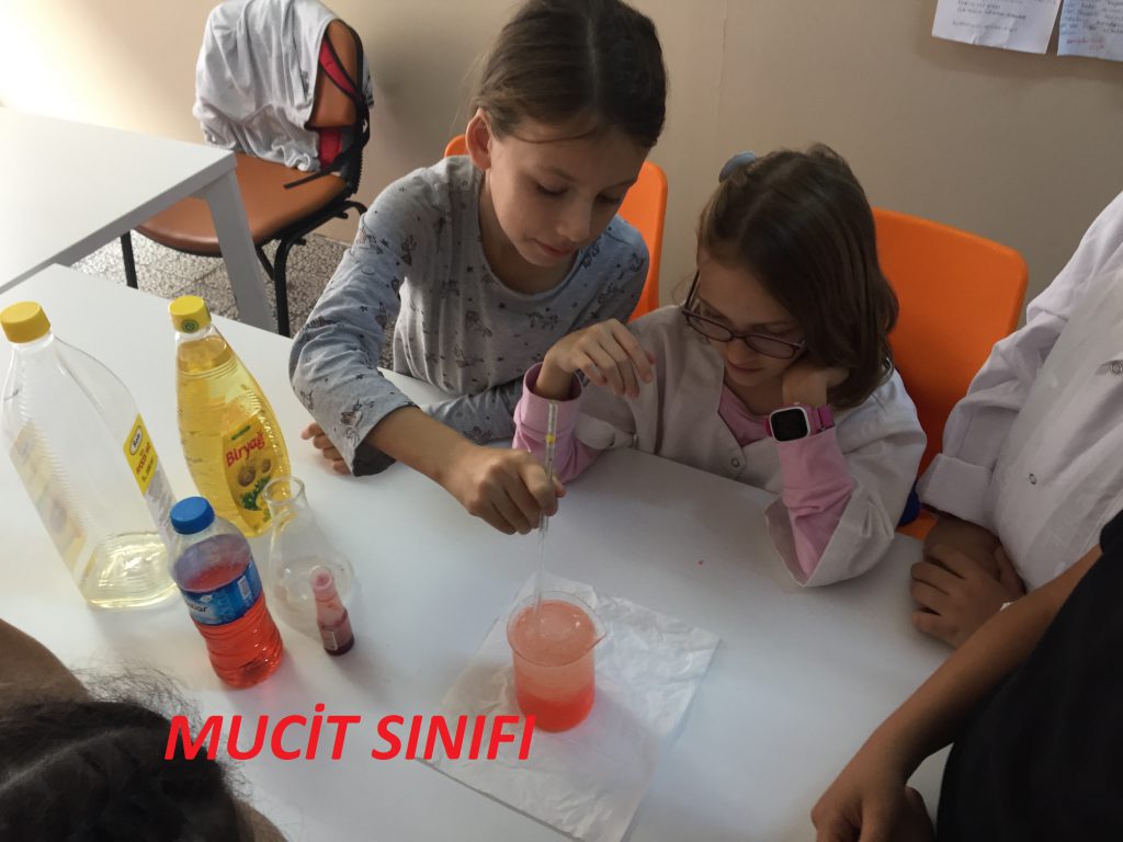 Fantastic Scholl (Primary)-Nimet AYPER by nimetayper - Illustrated by Fantastic Scholl (Primary) - Ourboox.com