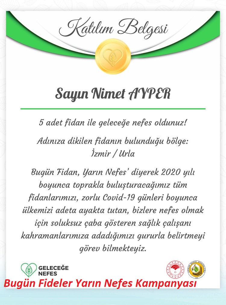 Fantastic Scholl (Primary)-Nimet AYPER by nimetayper - Illustrated by Fantastic Scholl (Primary) - Ourboox.com