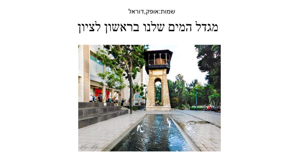 החתולים השתלתו על ראשל