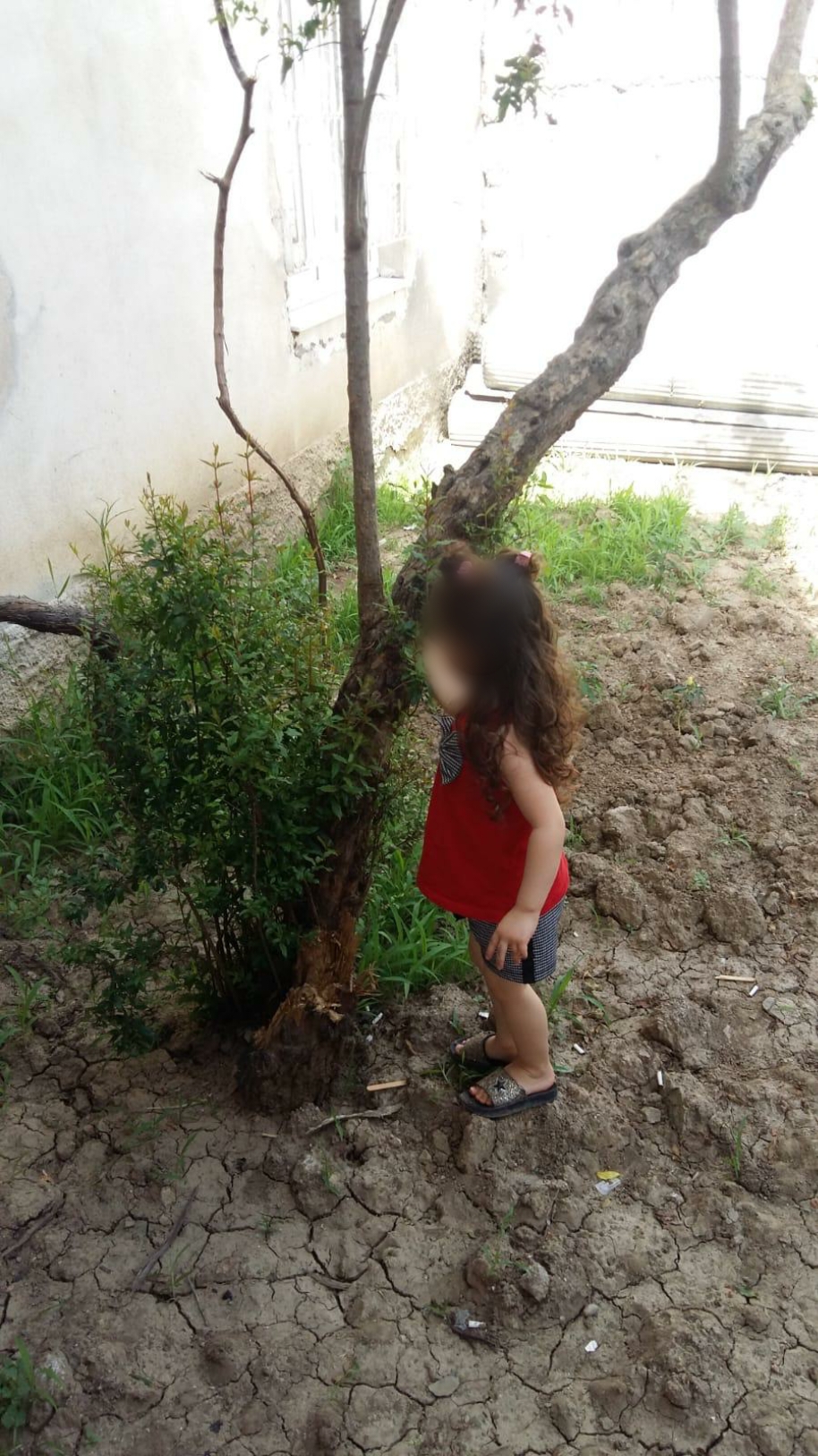 doğamızdaoyunvar by Selen Gencer - Illustrated by DRAMA VE OYUNLA EĞLENİYORUM,ÖĞRENYORUM - Ourboox.com