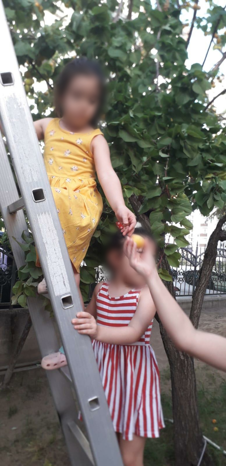 doğamızdaoyunvar by Selen Gencer - Illustrated by DRAMA VE OYUNLA EĞLENİYORUM,ÖĞRENYORUM - Ourboox.com