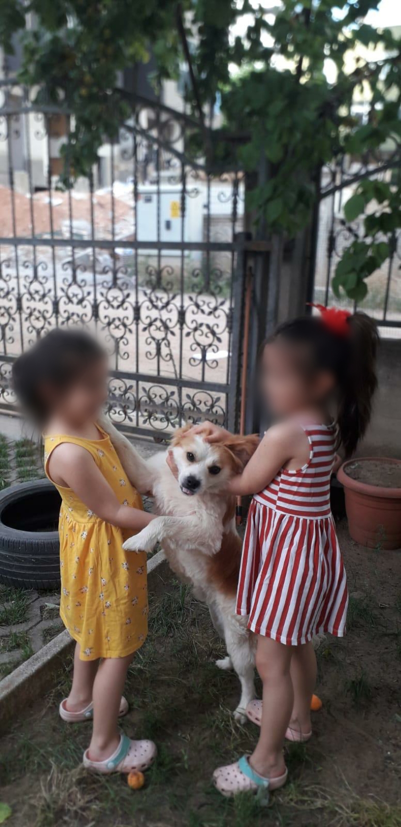 doğamızdaoyunvar by Selen Gencer - Illustrated by DRAMA VE OYUNLA EĞLENİYORUM,ÖĞRENYORUM - Ourboox.com