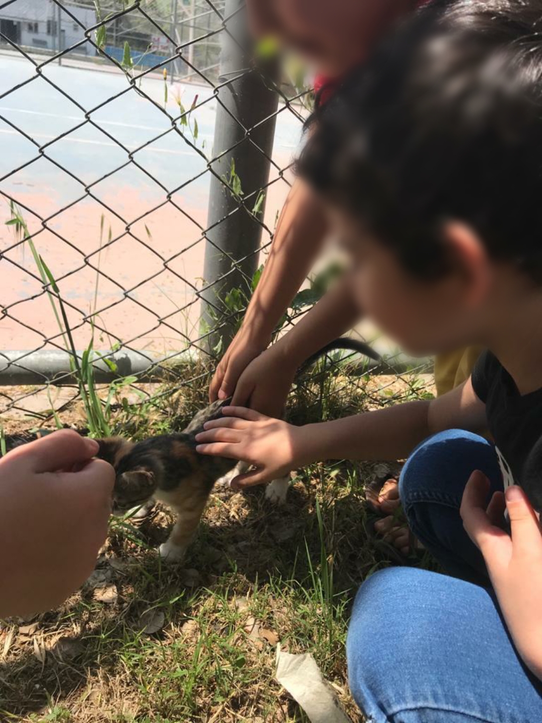 doğamızdaoyunvar by Selen Gencer - Illustrated by DRAMA VE OYUNLA EĞLENİYORUM,ÖĞRENYORUM - Ourboox.com