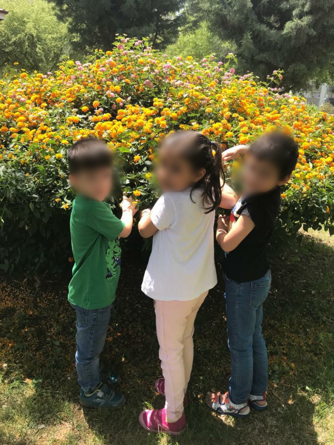 doğamızdaoyunvar by Selen Gencer - Illustrated by DRAMA VE OYUNLA EĞLENİYORUM,ÖĞRENYORUM - Ourboox.com