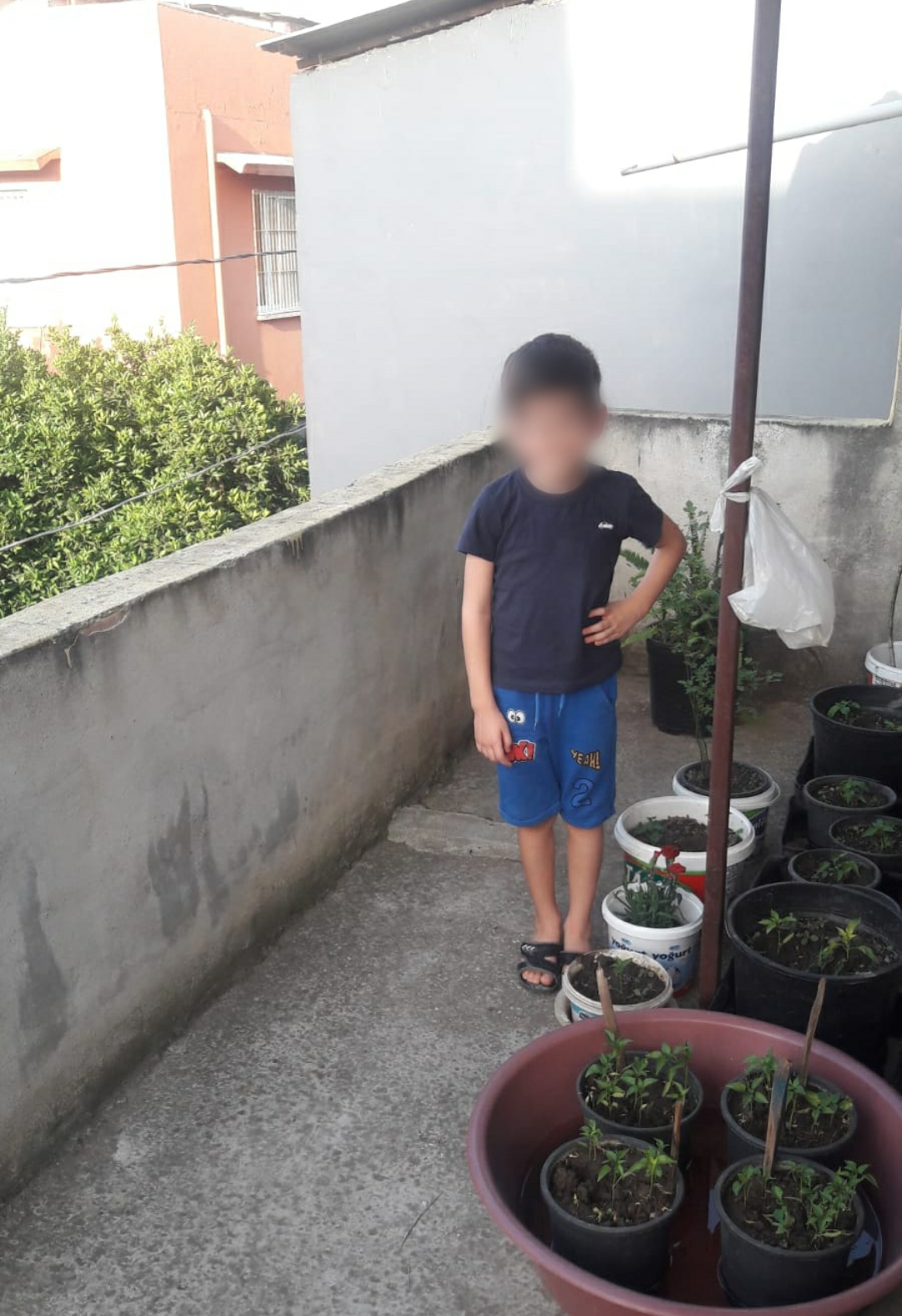 doğamızdaoyunvar by Selen Gencer - Illustrated by DRAMA VE OYUNLA EĞLENİYORUM,ÖĞRENYORUM - Ourboox.com