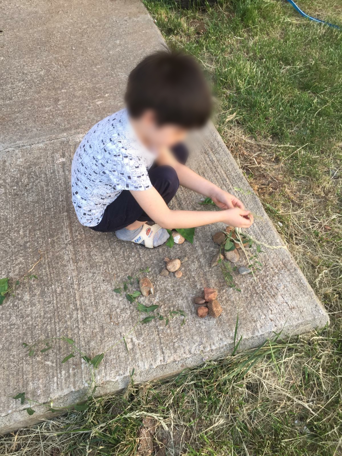 doğamızdaoyunvar by Selen Gencer - Illustrated by DRAMA VE OYUNLA EĞLENİYORUM,ÖĞRENYORUM - Ourboox.com