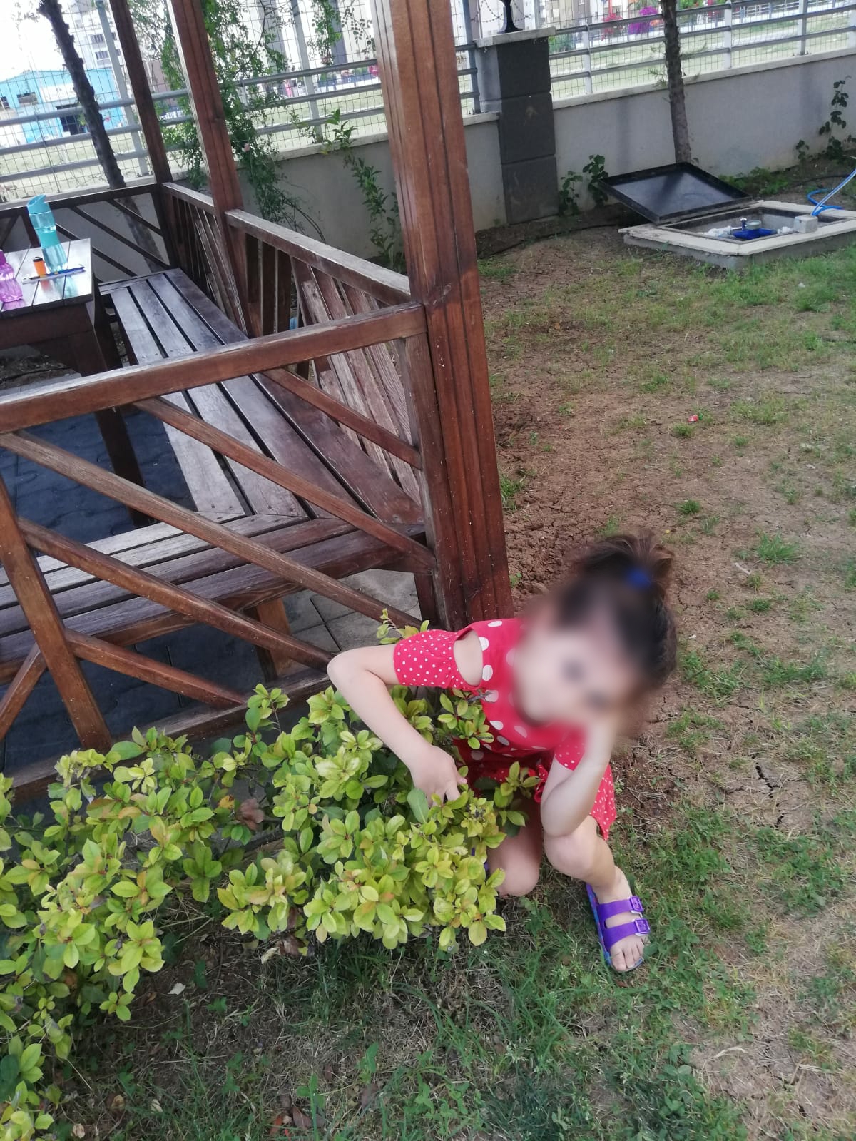 doğamızdaoyunvar by Selen Gencer - Illustrated by DRAMA VE OYUNLA EĞLENİYORUM,ÖĞRENYORUM - Ourboox.com