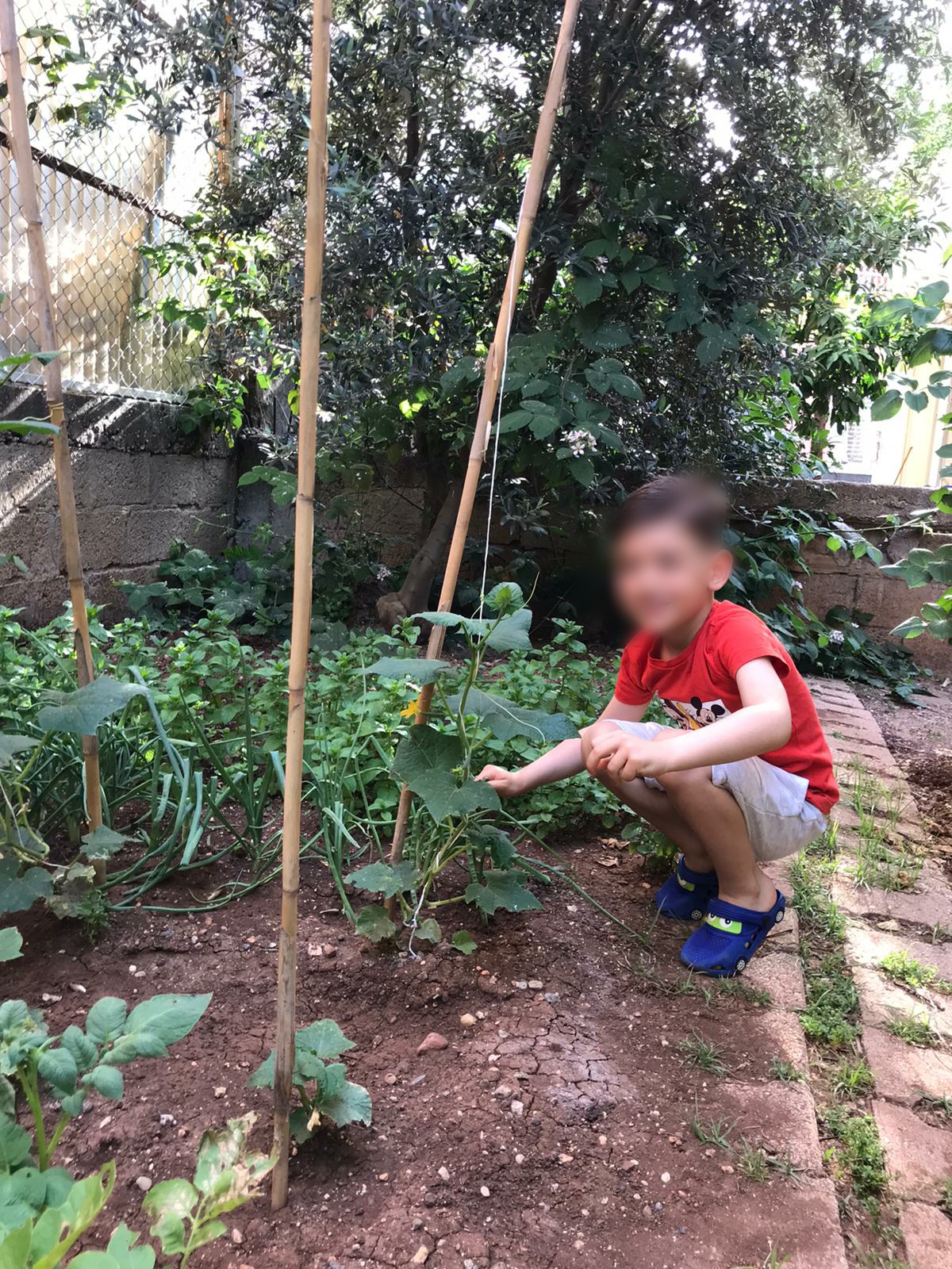 doğamızdaoyunvar by Selen Gencer - Illustrated by DRAMA VE OYUNLA EĞLENİYORUM,ÖĞRENYORUM - Ourboox.com