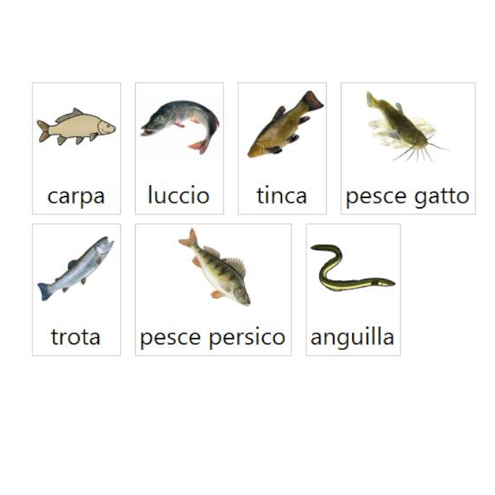 Conosco la terra in caa by alessandra pierri - Illustrated by Pictograms’ author: Sergio Palao Origin: ARASAAC (http://arasaac.org) Licenses: CC (BY-NC-SA) Property: Aragon Government - Ourboox.com