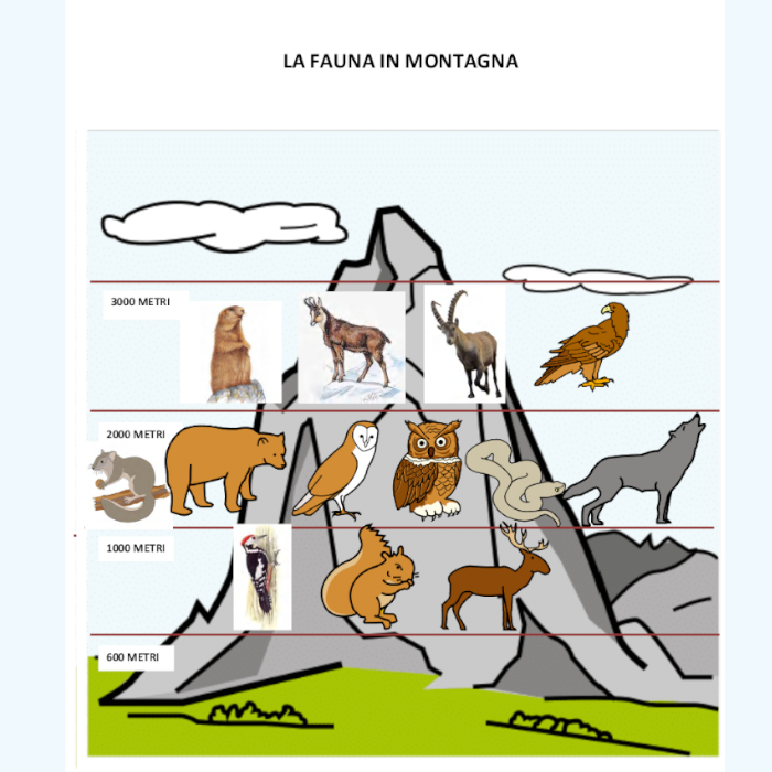 Conosco la terra in caa by alessandra pierri - Illustrated by Pictograms’ author: Sergio Palao Origin: ARASAAC (http://arasaac.org) Licenses: CC (BY-NC-SA) Property: Aragon Government - Ourboox.com