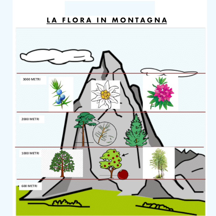 Conosco la terra in caa by alessandra pierri - Illustrated by Pictograms’ author: Sergio Palao Origin: ARASAAC (http://arasaac.org) Licenses: CC (BY-NC-SA) Property: Aragon Government - Ourboox.com