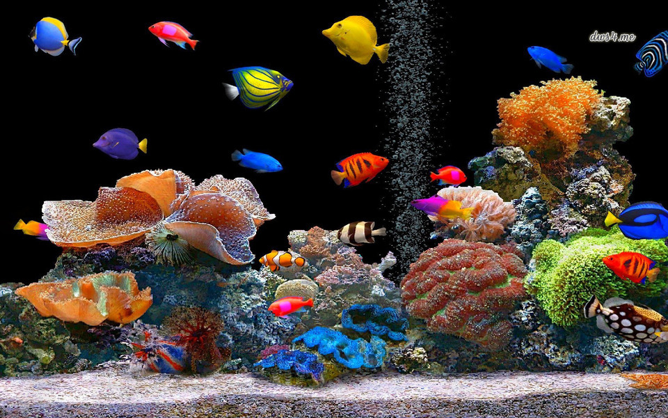 Моята Ваканция by Tanq Petrova - Ourboox.com