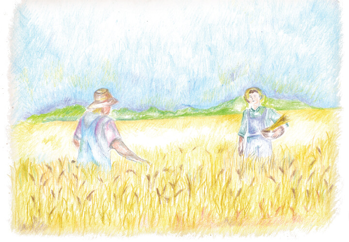 שני אחים by morasha - Ourboox.com