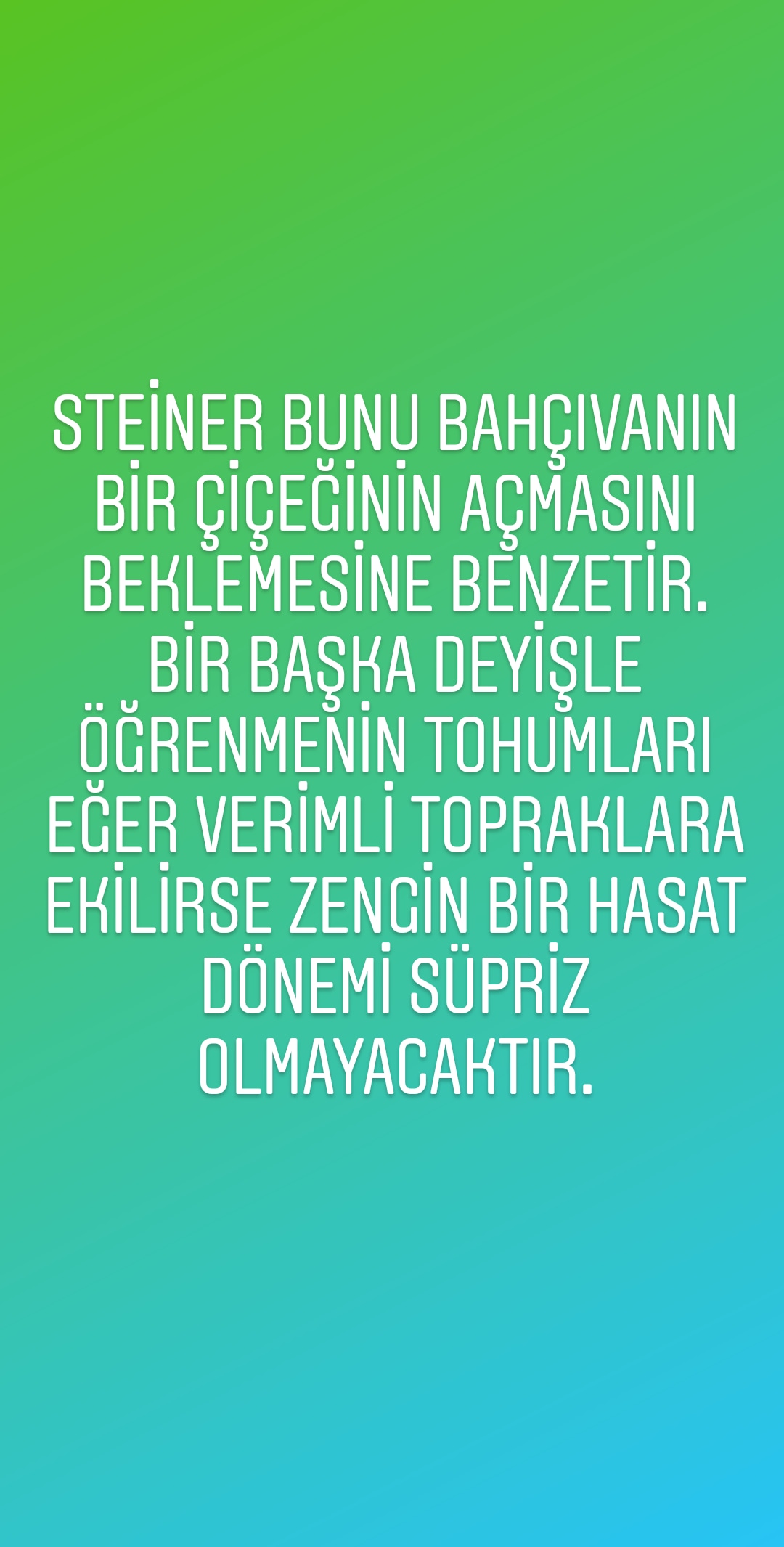 WALDORF İLE DOĞAYA DÖNÜŞ-ÖZGÜN BAHAR AĞACI by NİSA İREM KARATAŞ - Ourboox.com