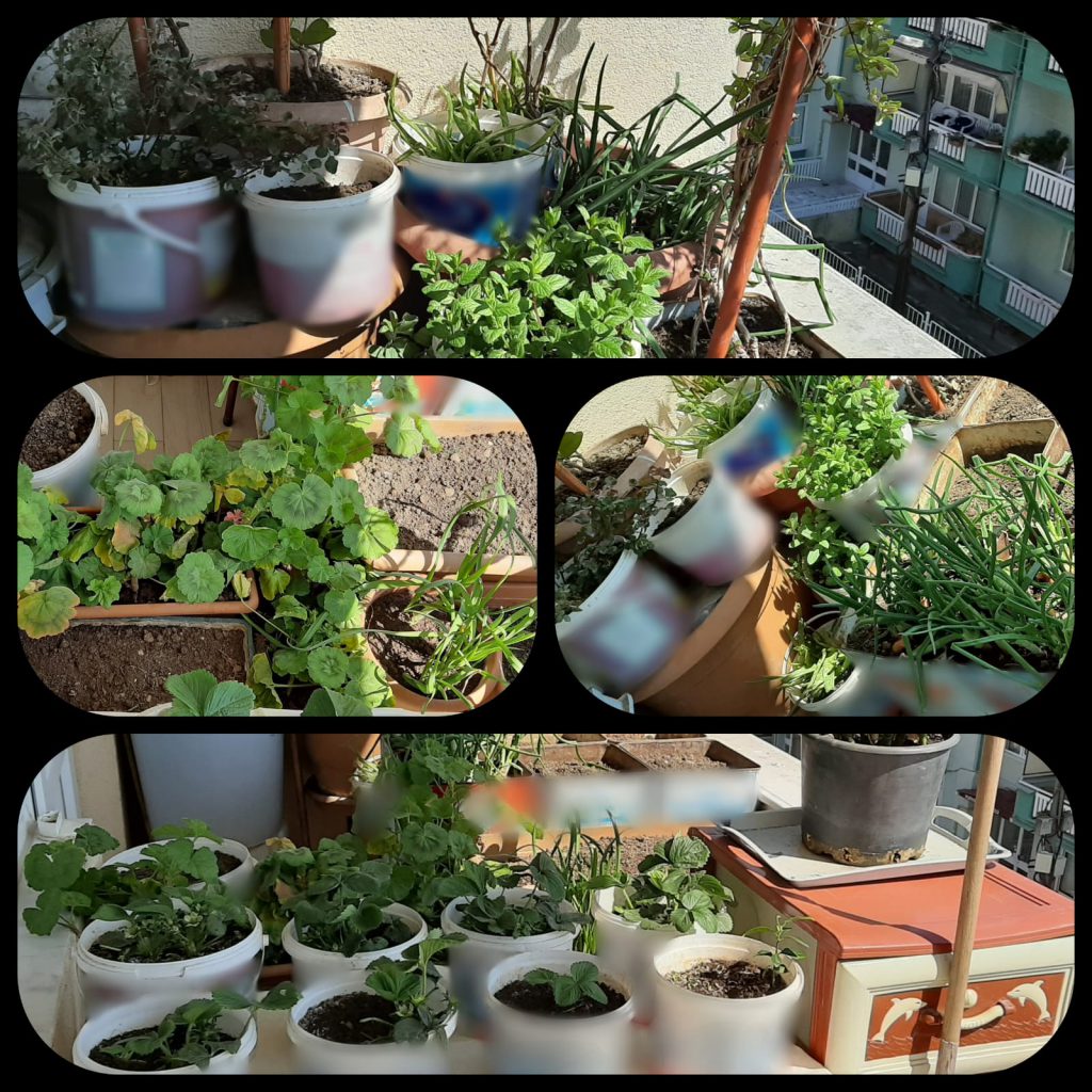 KENDİNİ SEV ÇEVRENİ KORU by HANİFE ÇEKMEZ - Ourboox.com