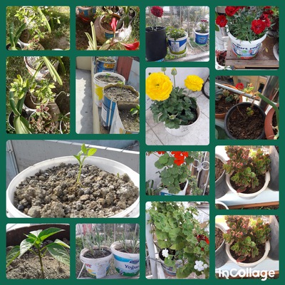 KENDİNİ SEV ÇEVRENİ KORU by HANİFE ÇEKMEZ - Ourboox.com