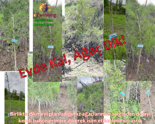 KENDİNİ SEV ÇEVRENİ KORU by HANİFE ÇEKMEZ - Ourboox.com